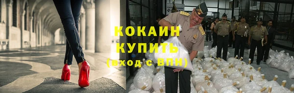 spice Белокуриха