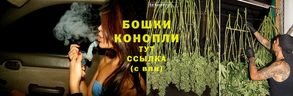 spice Белокуриха